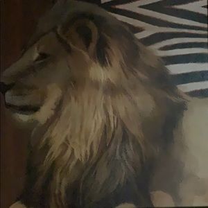 Meet your Posher, Hugo